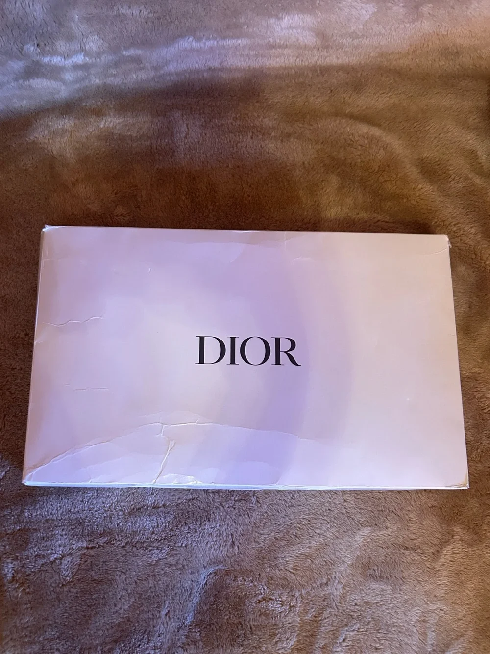 Dior Beige Cosmetic bag